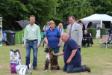 Best Pup in show at Jahressieger 2015 Dutch Boxerclub judges Roosenboom(B) and Torrents(E)