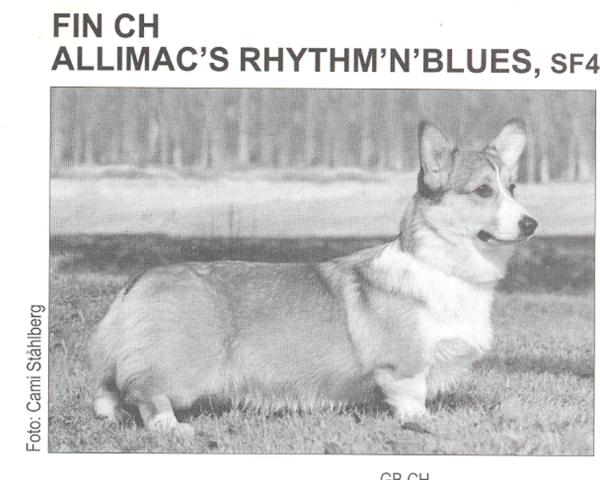 CH Allimac's Rhytm'n'Blues